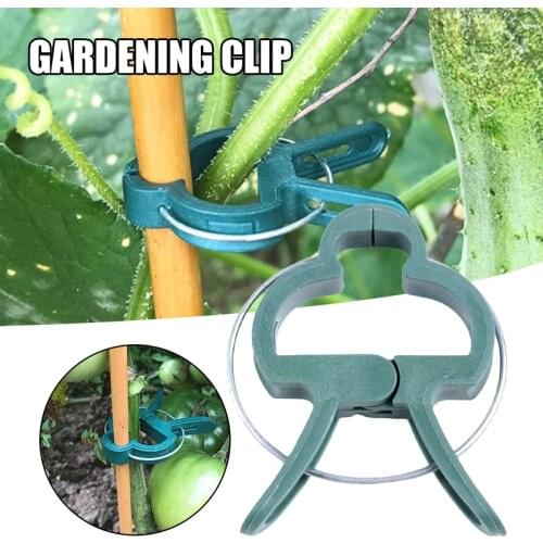 Reusable Garden Plant Support Clips Multifunctional Gardening Fixed Clamp Suitable Plant Clip For Flower Plants Fp8