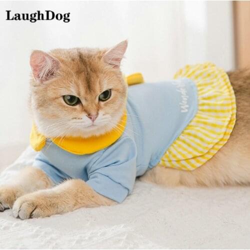 Платья LaughDog China At AliExpress