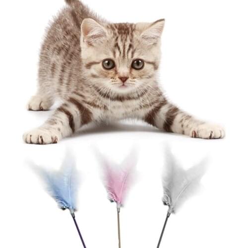 Legendog Hot Selling Cat Wand Toy Funny Fake Feather Cat Teaser Wand Cat Chaser Wand With Collar Cat Toy Pet Toy Products