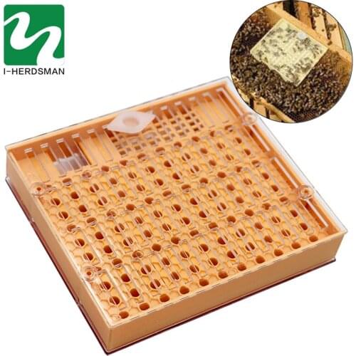 Arrival 1PC Plastic Rearing Queen Bee System Plastic Box For Professional Beekeeper Beekeeping Equipment Tools