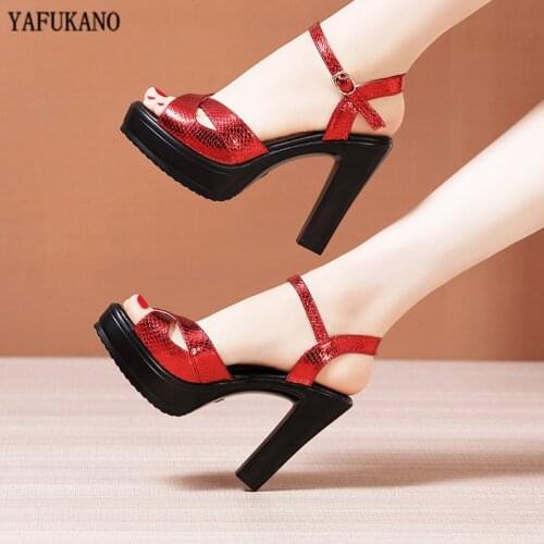 Brand Woman Sandals Sexy Catwalk High Heels Platform Red Party Wedding Shoes Square Heel Large Small Size Peep Toe Sandals 32-43