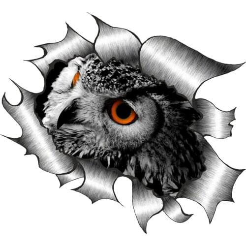 11358# Various Sizes Removable Decal Beautiful Eagle Owl Car Sticker Waterproof on Bumper Rear Window Laptop
