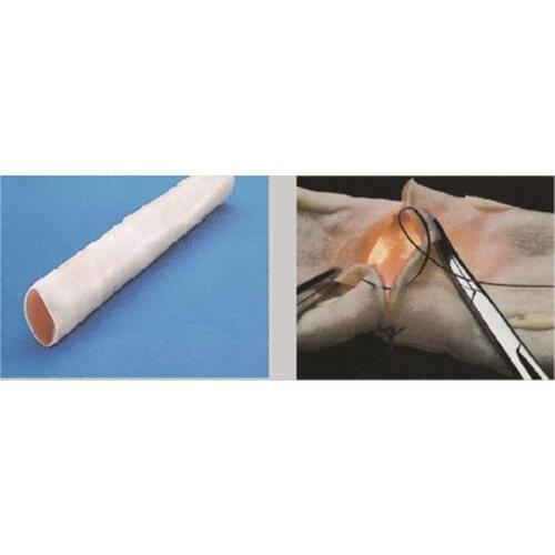 BIX-LV7 Medical Lntestinal Bowel Canal Anastomosis Training Model WBW212