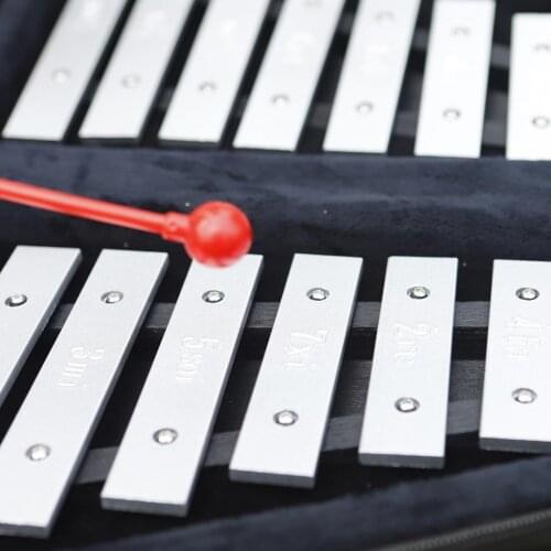 16 Note Glockenspiel Xylophone Kids Children Educational w/ Case & Mallets