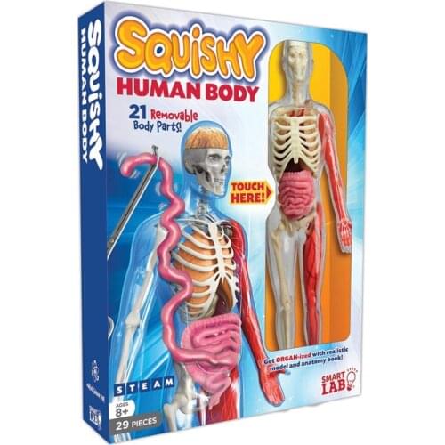 21 Removable Parts Squishy Human Body Medical Anatomy Model SmartLab Educational Teaching Toys