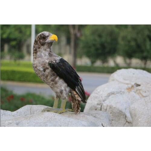 New real life eagle bird model foam&feather simulation eagle bird doll gift about 45cm xf2909