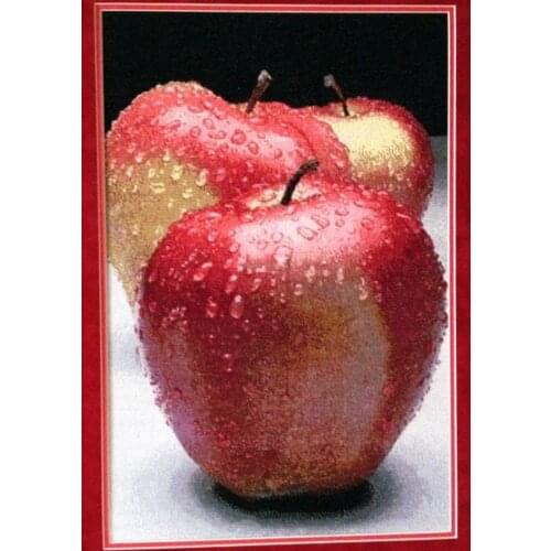 Dew on red apple 50-70 Cross Stitch Kit Packages Counted Cross-Stitching Kits Cross stich Set