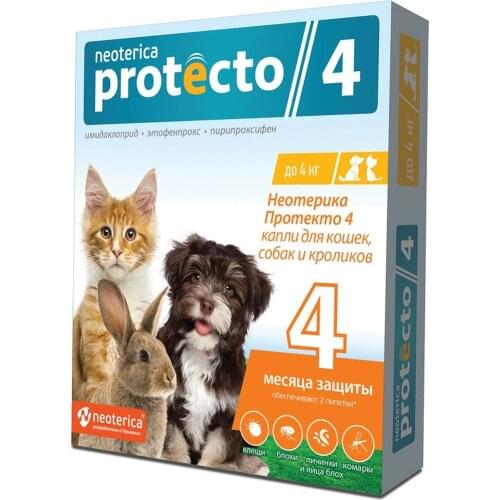 Neoterica Products For Cats