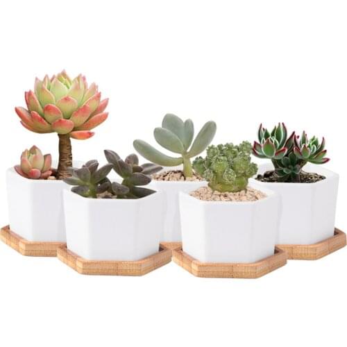 2/4/6pcs White Mini Glazed Geometric Home Office Flowers Potted Flowers And Green Landscape Bonsai Balcony Window Placement Tool