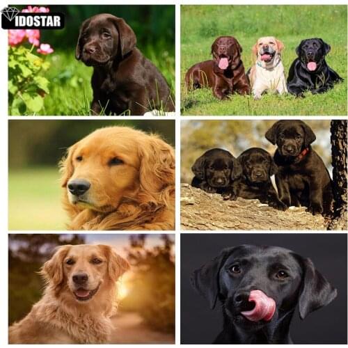 IOOSTAR 5D Diy Diamond Painting Cross Stitch "Animal dog landscape" Home Decor Full Rhinestones Inlay Diamond Embroidery