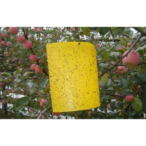 Лампы от комаров Mr.Bug China At AliExpress