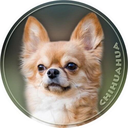 S40366# Various Sizes PVC Decal Chihuahua Dog Car Sticker For Bumper Rear Window Laptop Refrigerator Toilet