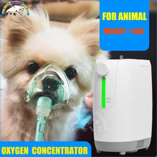 Pet Dog Cat Animal Oxygen Concentrator Medical Oxygen Machine for Veterinary Clinic and Farm