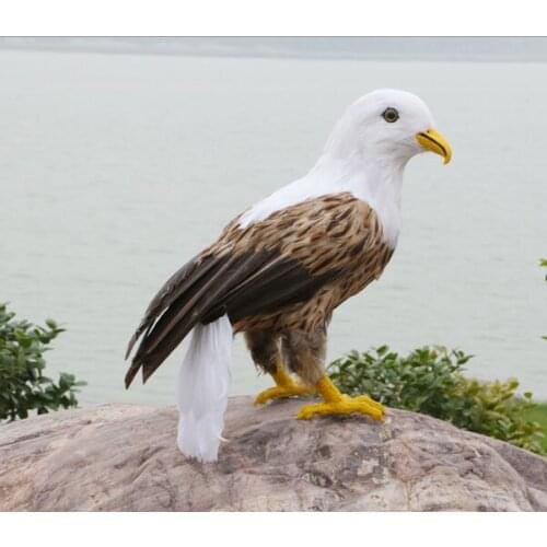 Creative real life turned eagle bird model foam&feather simulation natural colour eagle bird doll gift about 40cm xf2907