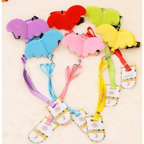 SU GENERIS Leashes For Dogs