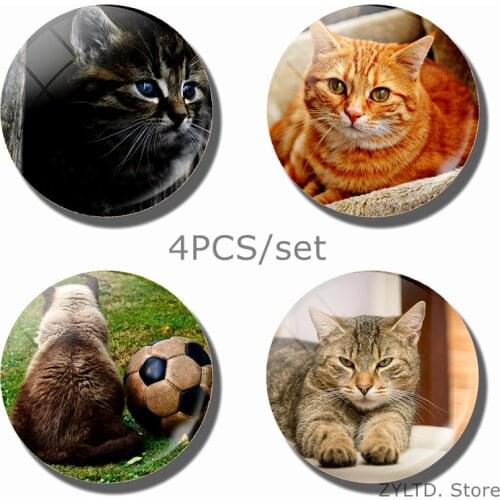 Cat Fridge Magnet Cute Animal Refrigerator Magnets 4PCS/set Glass Cabochon Refrigerator Decoration Message Stickers Home Decor