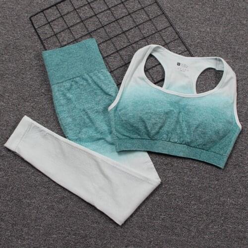 Women Fitness Seamless Yoga Set Gym Clothing High Waist Sports Suit Padded Gym Clothes Workout Sports Bra Vest And Yoga Leggings