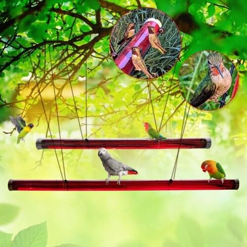 Hummingbird Feeder With Hole Feeding Pipes Birds Easy To Use Red Hanging Long Tube Bird Feeder 40cm Annas Best Gardening Tools