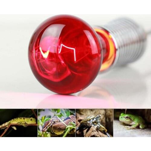 R63 infrared bulb 40W 220V thermal insulation heating heating bulb lizard tortoise snake pet lamp breeding bulb animal Tungsten