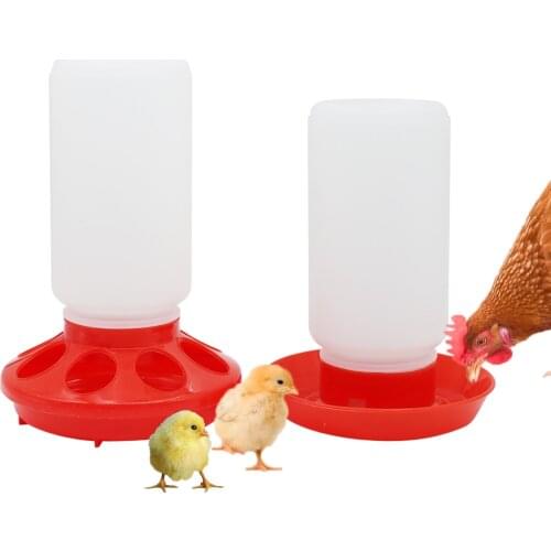 1L Automatic Poultry Drinking Fountain Chicken Food Water Bucket Poultry Bird Water Dispenser