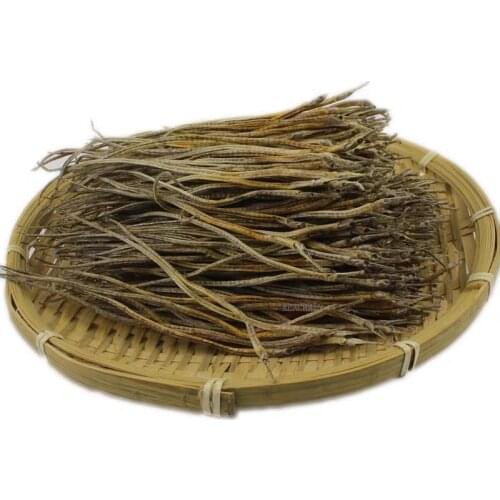 Real Syngnathus Natural Sea Otter Great for Jewelry supplies taxidermy nautical Home Decoration ,Craft Supplies 12~15mm