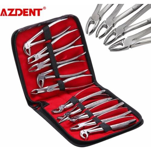 10 Pairs/Set Surgical Dental Extraction Forceps Set Adults Tooth Extracting Forceps 10 Models for Dentists & Zipper Leather Bag