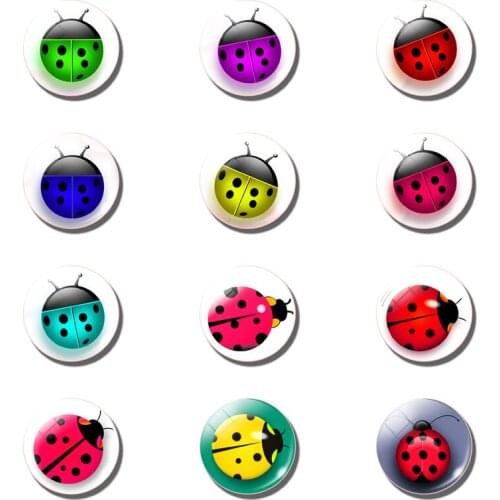 Color ladybug fridge magnets glass convex magnetic refrigerator sticker seven star ladybug message board sticker home decoration