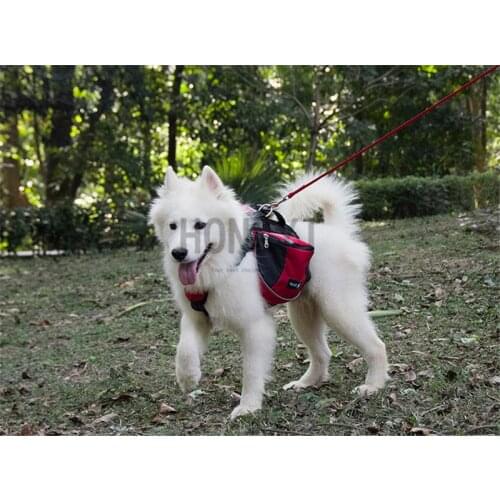DADYPET Goods For Sports And Recreation