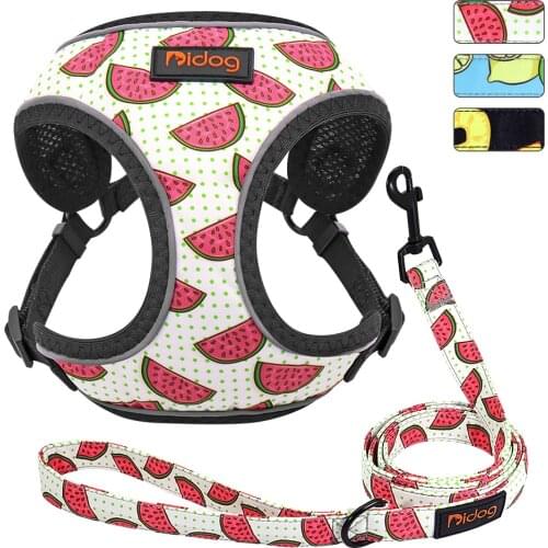 Cute Adjustable Dog Harness Leash Set Reflective Mesh Puppy Vest Nylon Pet Walking Leash Lead For Small Medium Dogs Chihuahua
