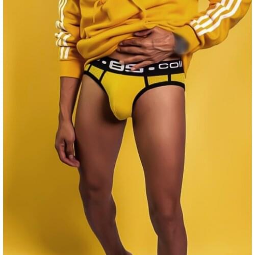 0850 Brand Comfortable Men Underwear Briefs U Convex Cuecas Breathable Mesh Man Underpants Cotton Low Waist Sexy Mens Panties