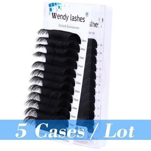 WENDYLASHES 5 Cases 25mm Individual Eyelash Extension Premium Real Mink Eyelashes Russian Volume Lashes Soft Classic Lashes