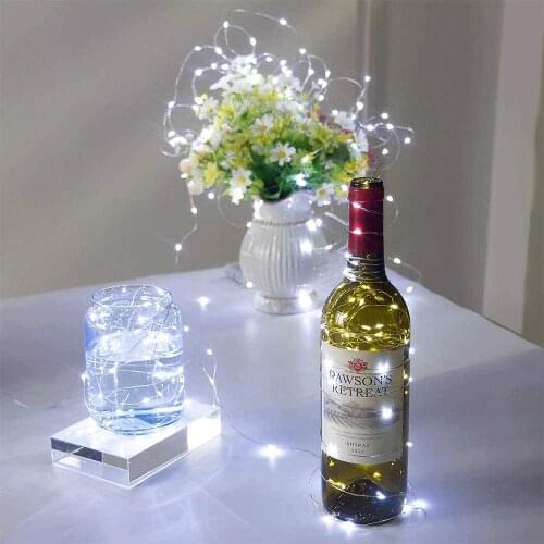 USB Fairy Garland Light 50 100LED String Lights Silver Wire Room Decor LED Lights for Home Wedding Holiday Christmas Decoration