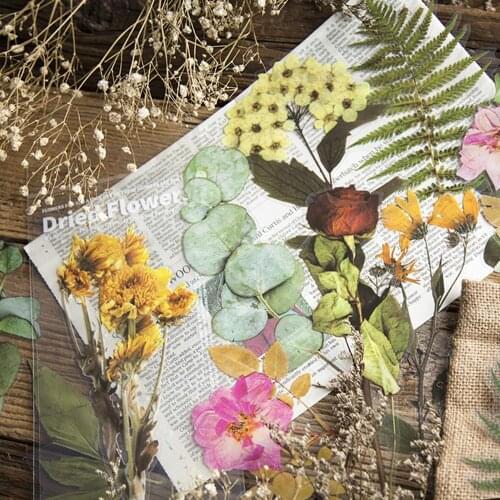 6Pcs/Set Dried Flower Leaves Decorative Stickers Aesthetic Vintage Album Card Stationery Scrapbooking Stickers Craft supplies
