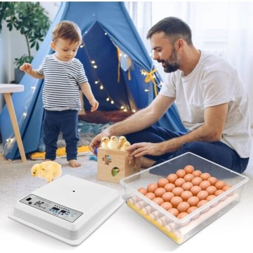 220V Eggs Incubator Automatic Chocadeira Brooder Bird Quail Incubator Chick Hatchery Incubator Poultry Hatcher Turner Farm Tools