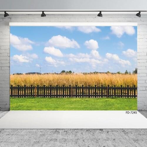 Autumn Rural Wheat Field Fence Photography Backgrounds For Photo Studio Props Children Baby Vinyl Cloth Backdrops Photobooth