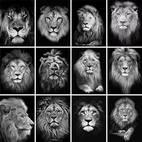 EverShine Diamond Mosaic Lion Needlework 5D DIY Diamond Painting Animal Cross Stitch Kits Black And White Bead Embroidery