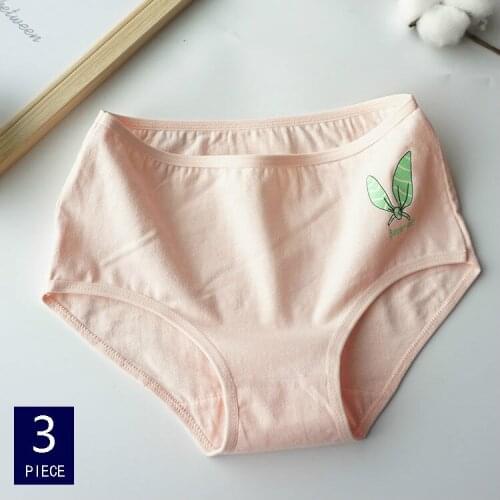 Norns Strawberry cotton underwear womens middle waist cotton crotch Japanese cute girl student bag breathable cotton briefs A31