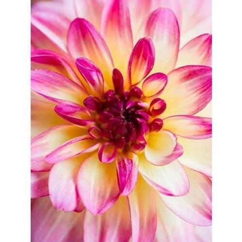 Evershine Diamond Painting Flowers With Square Rhinestones Embroidery Cross Stitch Kit Needlework Gift Home Decoration Modern