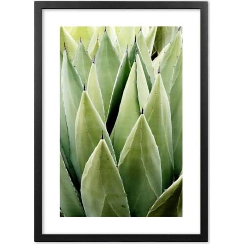 Green Aloe Plant Wall Art Paper Painting Landscape Wall Pictures For Living Room Decor