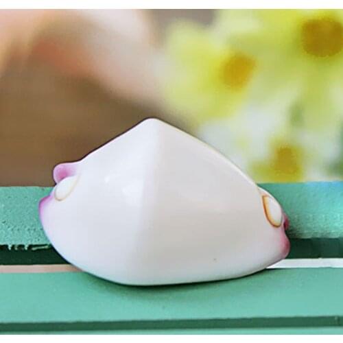 Natural Calpurnus Verrucosus Specimen Shell Craft Decoration Conch Decoration Collection Gift DIY Shell