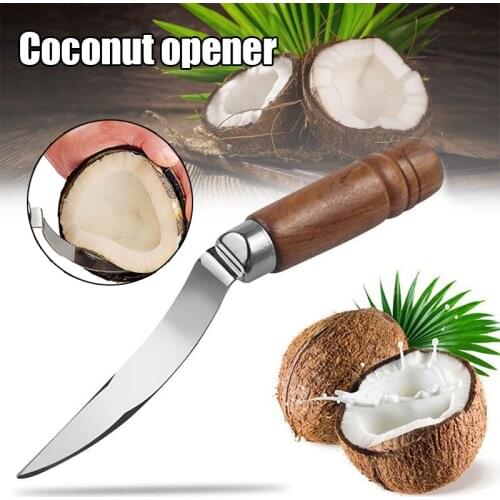 Coconut Opener Tool Stainless Steel Meats Remover Removal Cutter Wooden Handle Kitchen Knives Accessories