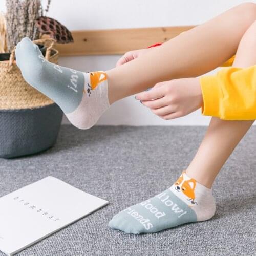 IXueJie Women's Cotton Socks