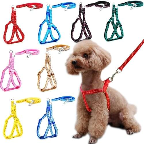 Small Dog Cat Harness Leash Adjustable Vest Collar Puppy Outdoor Walking Chihuahua Terier Schnauzer