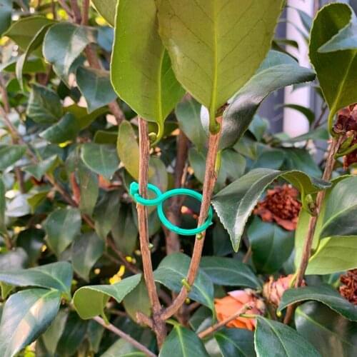 Fixed Rattan Vegetable West Red Persimplex Garden Bracket Tool Accessories Tie Buckle Figure 8 Horticultural Circle