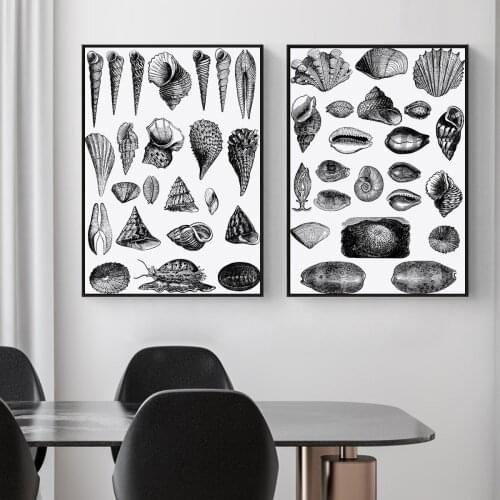 Seashells Marine Life Line Art Series Oil Painting Picture Poster Canvas Print Painting Wall Art Living Room Home Decoration