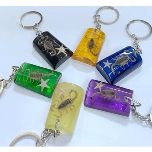 10 pcs Scorpion Insect Mixed Colorful Color KeyChain Taxidermy Display