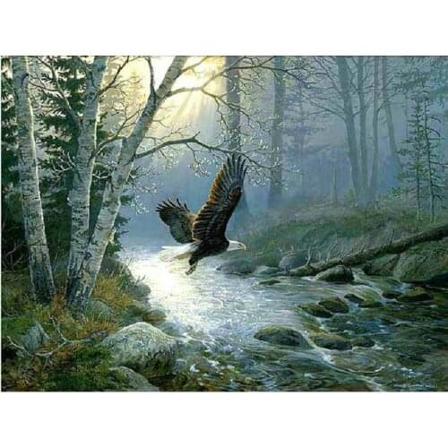 DIY Diamond embroidery 5d round drill diamond painting Eagle River cross stitch diamond mosaic pattern art decorative