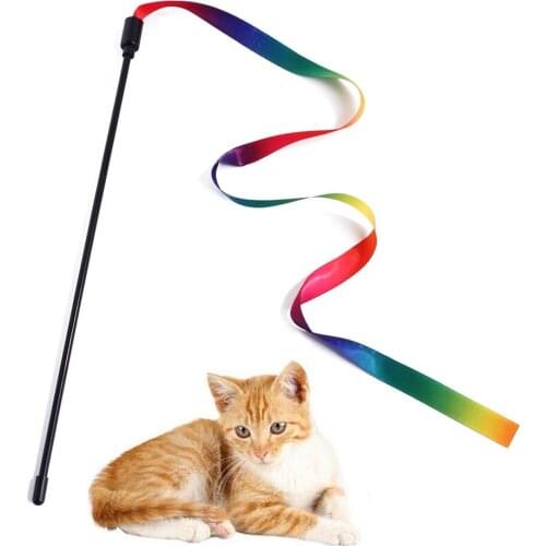 Legendog Cat Rainbow Wand Toy Interactive Funny Toy Cat Teaser Wand Cat Stick Cats Training Toys Chewing Toys Pet product