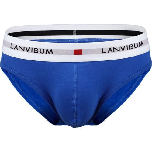 Mens Low-waist Underwear Cotton Big Bulge Pouch Brief Breathable Sexy Male Panties Underpants