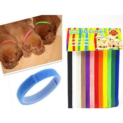 Puppy kitten pet dog cat id collars 12 colors/Pack size adjustable soft material small pet collar identification collar